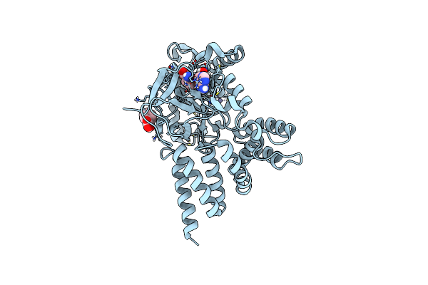7QNU image