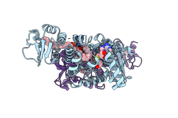 7QOS image
