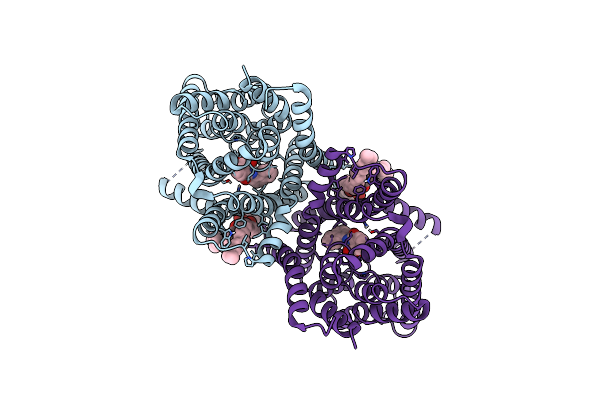 7QPC image