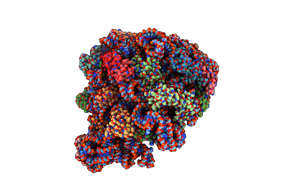 7QQ3 image