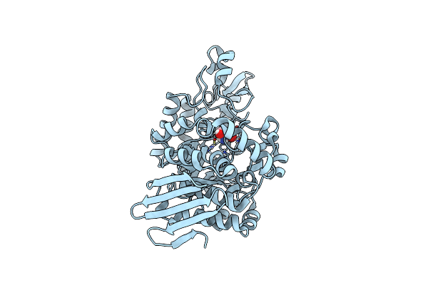 7QQI image