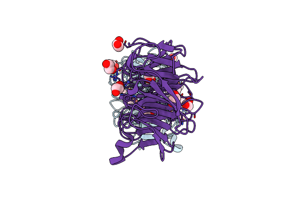 7QRX image