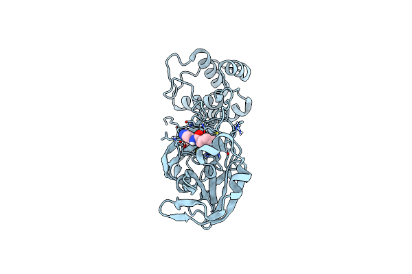 7QT5 image