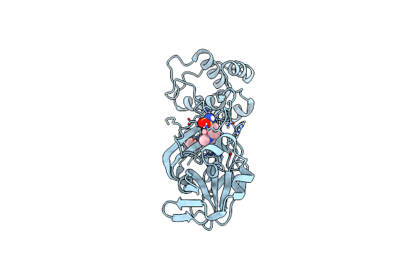 7QT6 image