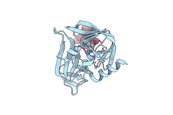 7QUB image