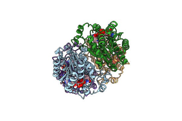 7QUJ image
