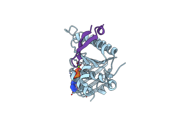 7QV8 image
