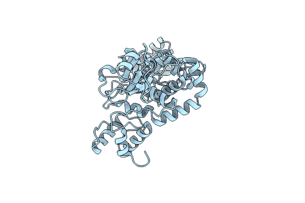 7QVD image