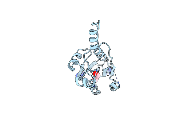 7QVN image