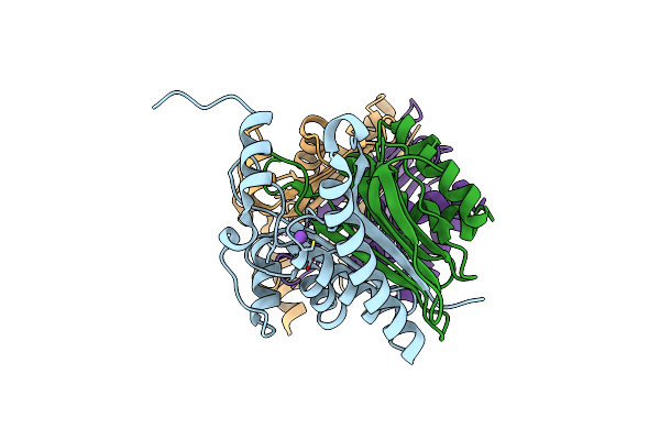 7QVR image