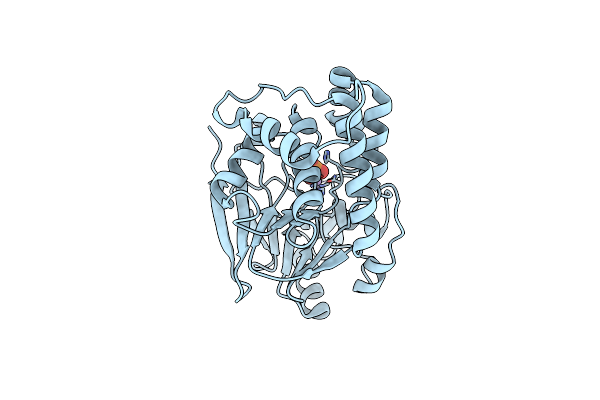 7QWJ image