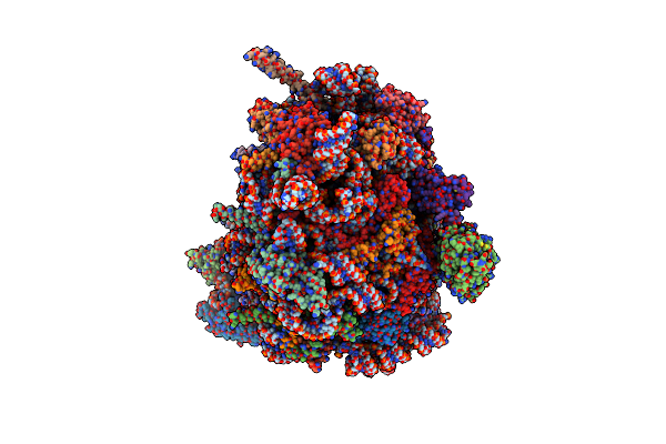 7QWS image