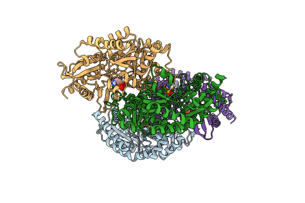 7QX3 image