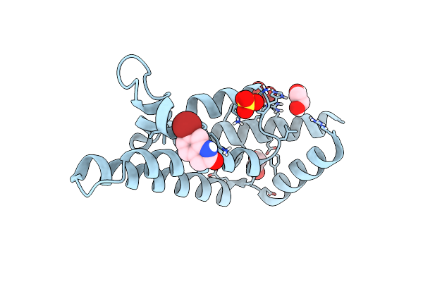 7QXT image