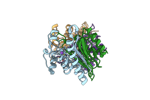 7QYX image