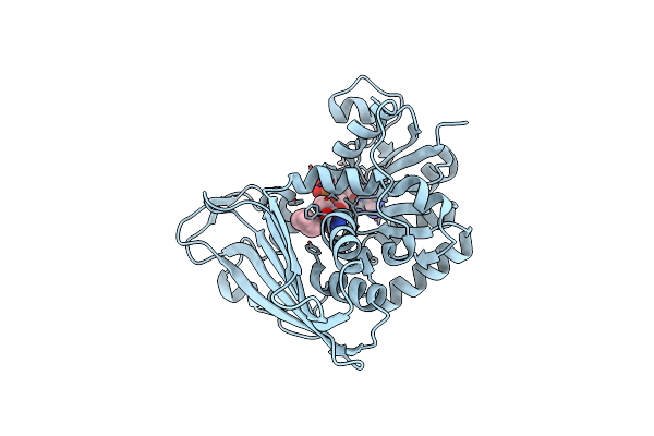 7R09 image