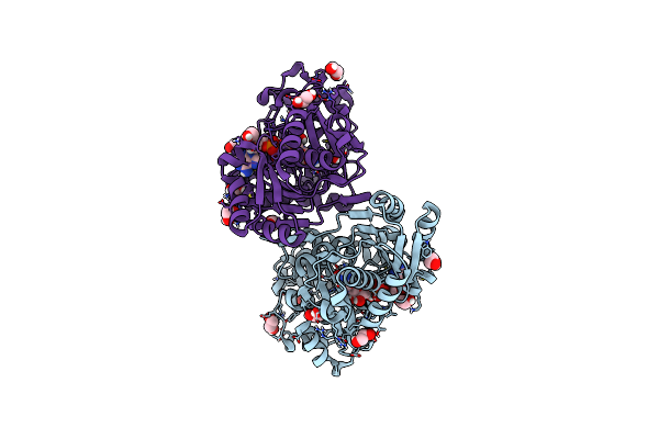 7R0P image