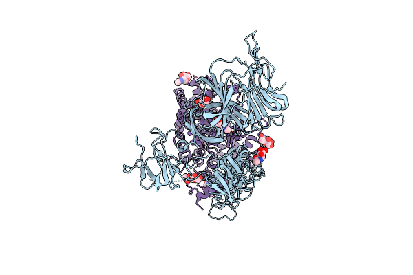 7R10 image