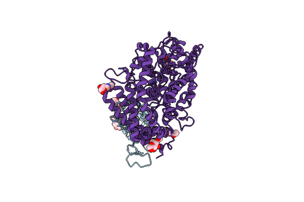 7R12 image