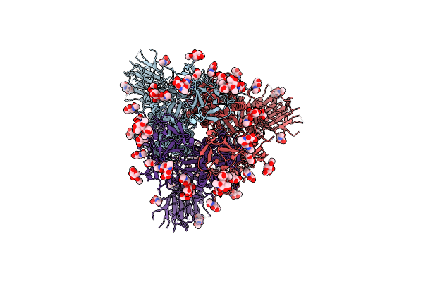 7R13 image