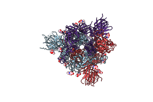 7R16 image