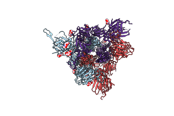 7R17 image