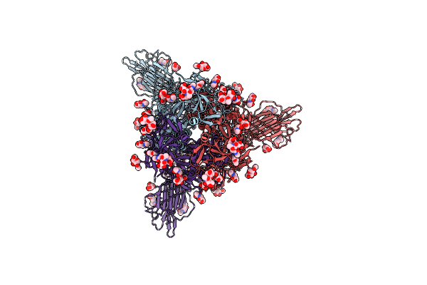 7R18 image
