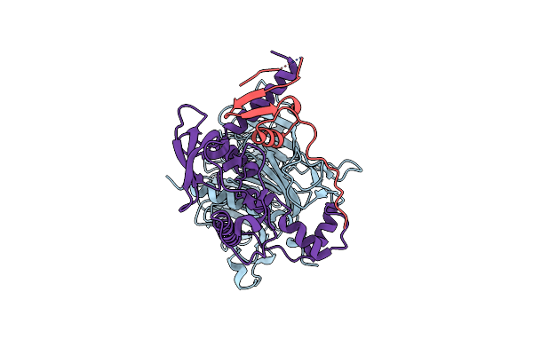 7R1D image