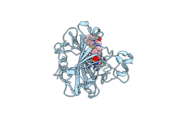 7R1X image