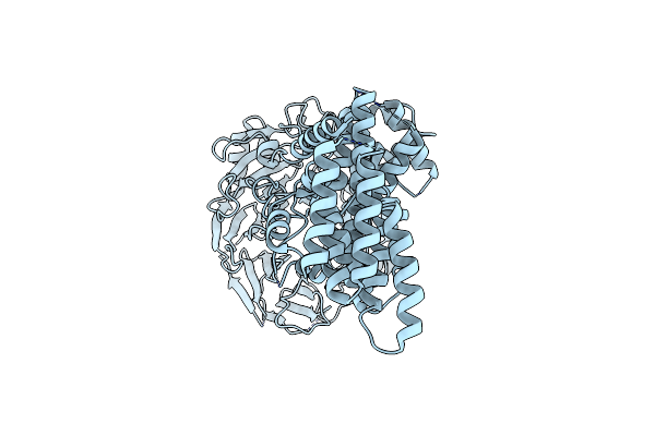 7R1Y image