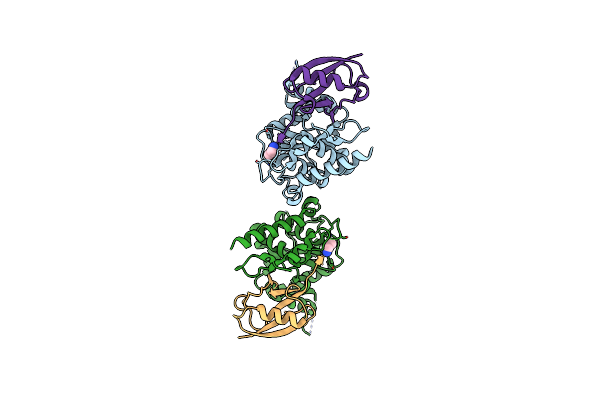 7R2E image