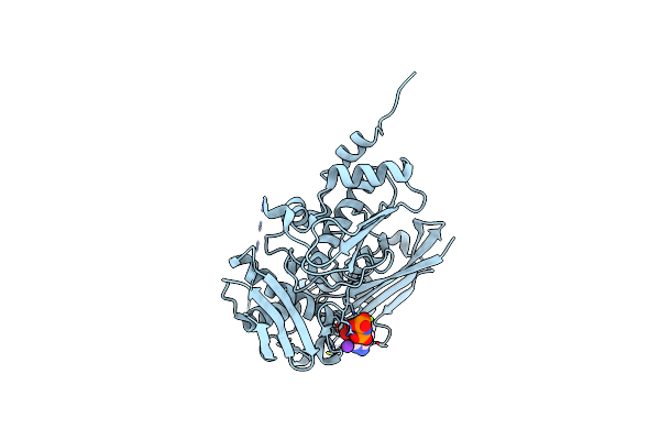 7R2W image