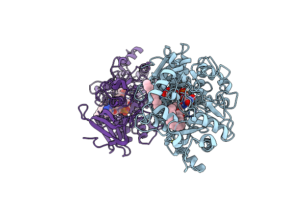 7R33 image
