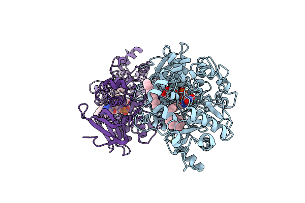 7R34 image