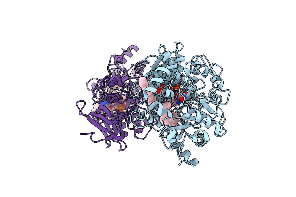 7R35 image