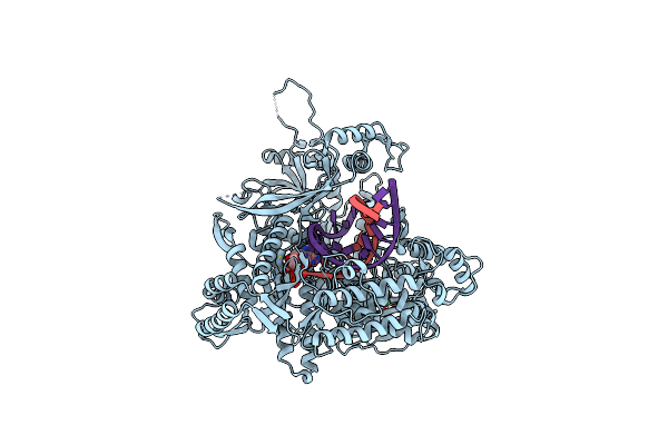 7R3X image