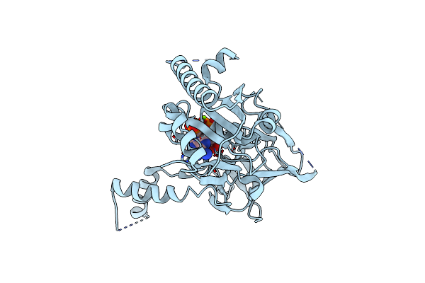 7R4K image