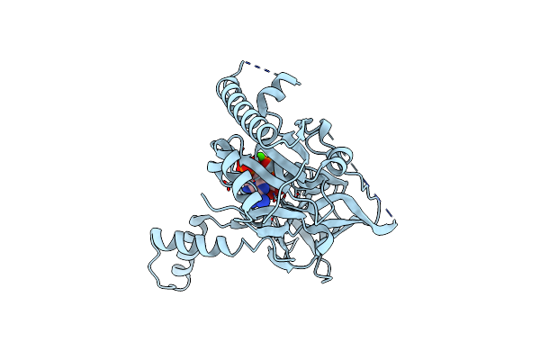 7R4M image