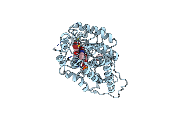 7R4N image