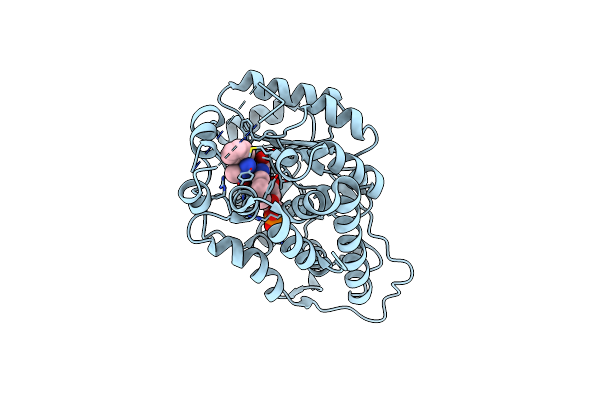 7R4P image
