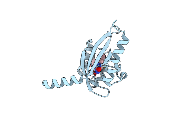 7R56 image