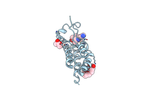 7R5B image