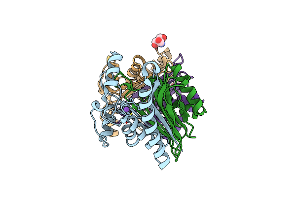 7R5C image