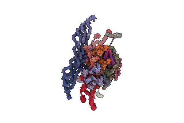 7R5J image