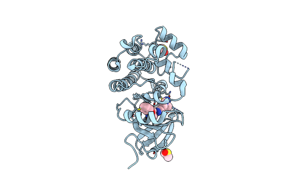 7R61 image
