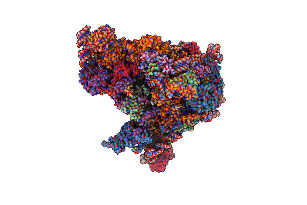 7R7A image