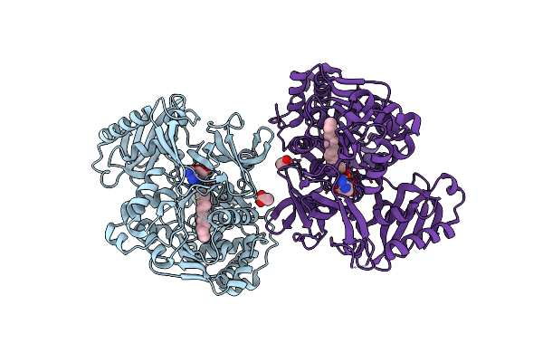 7R7G image