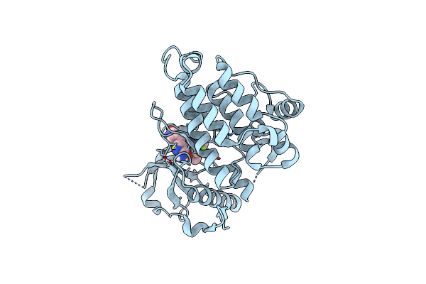 7R7K image
