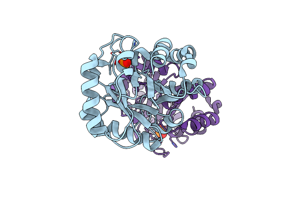 7R7M image