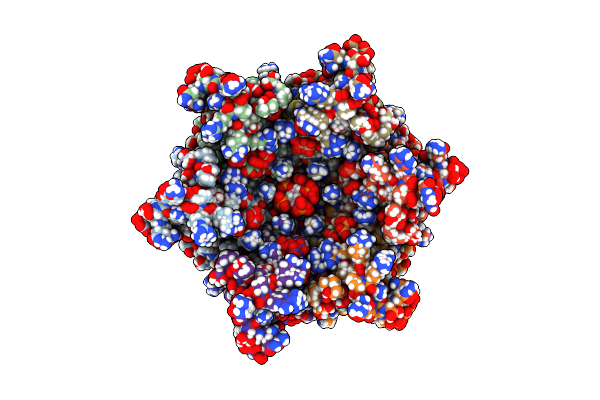 7R7P image